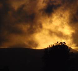 Shadowpath : Dissipating Flows